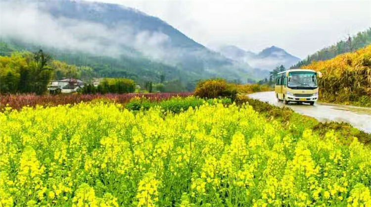 周边风景